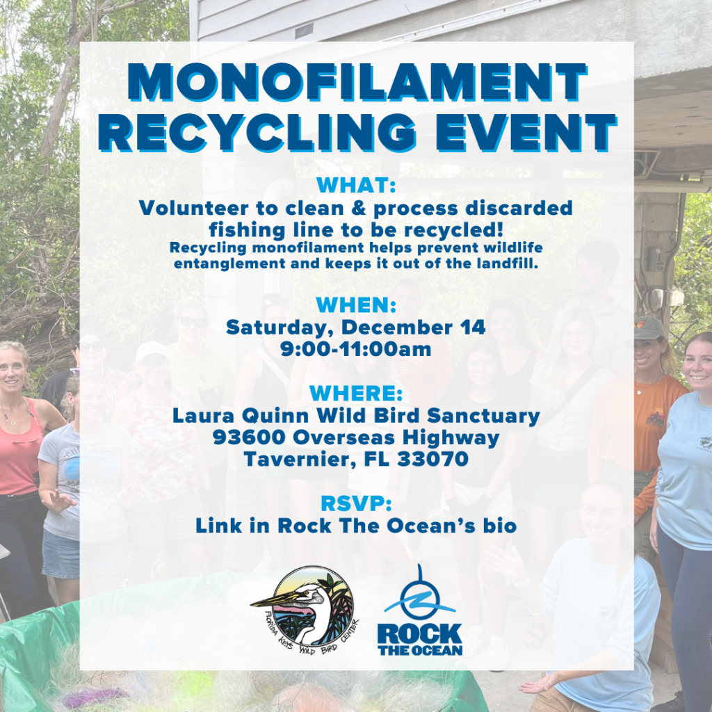 12.14.2024 Monofilament Event 