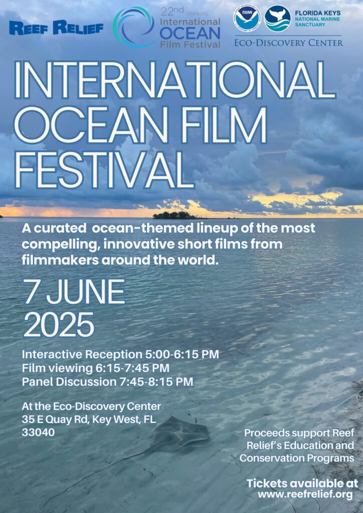 International Ocean Film Festival Flyer