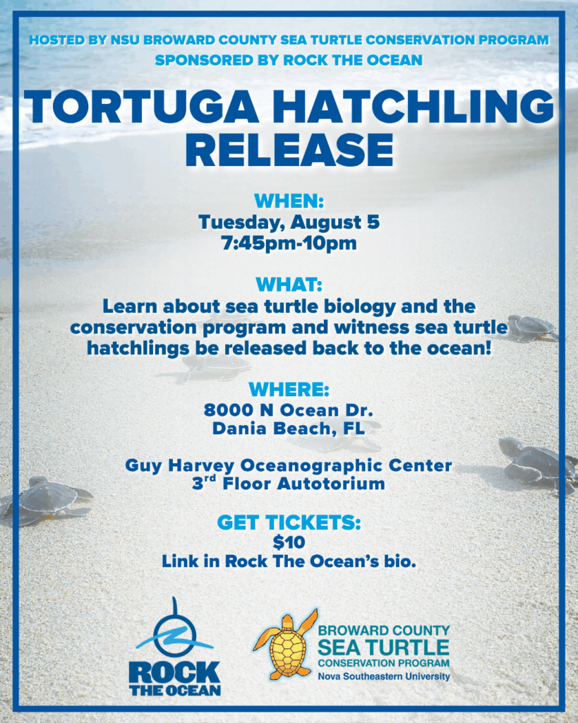 8.5.2025 Turtle Hatchling release poster